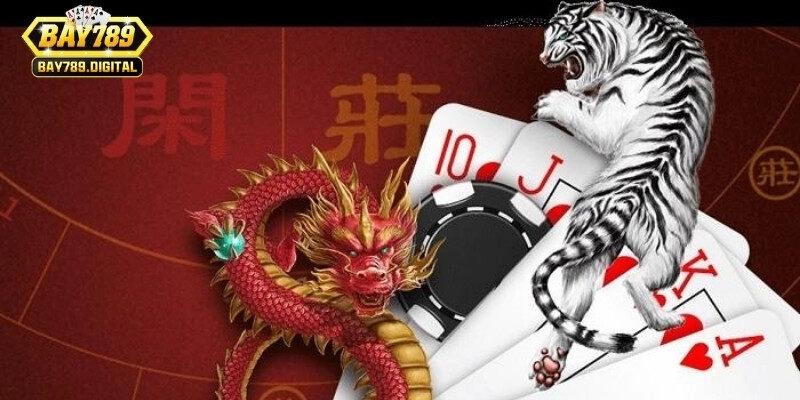 Hướng dẫn người mới cách đặt cược, tính điểm từ A-Z